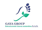 GAYA GROUP